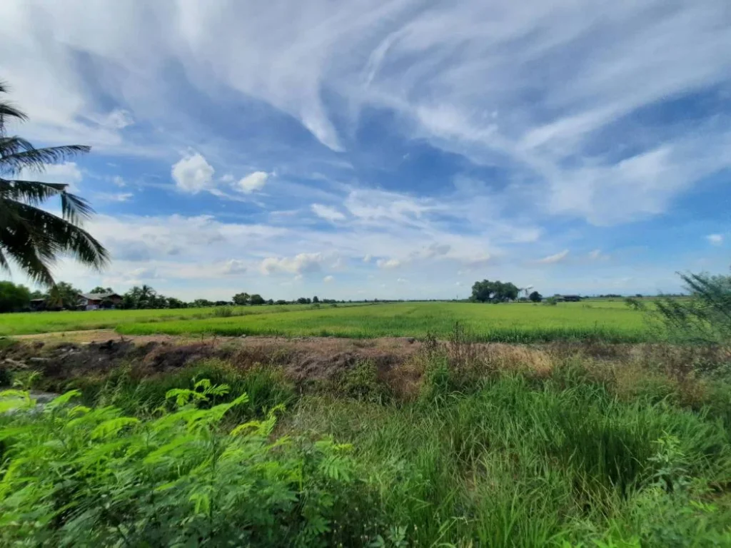 ขายที่ดิน 49 ไร่ ราคาไร่ละ 450000 บาท คลอง 20 หน้าติดถนนลาดยางด้านหลังติดคลอง