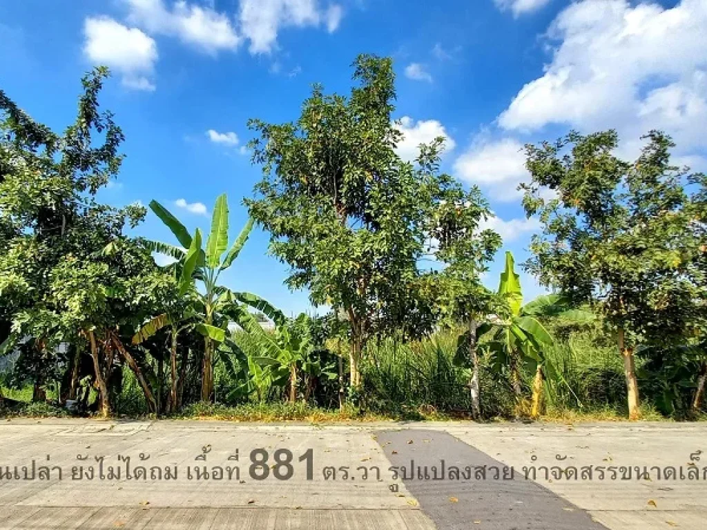 ที่ดิน 881 ตรวา ติดกับ มจามจุรีพาร์ค ถสุขาถิบาล 5 ซอย 5 แยก 15 เขตบางเขน