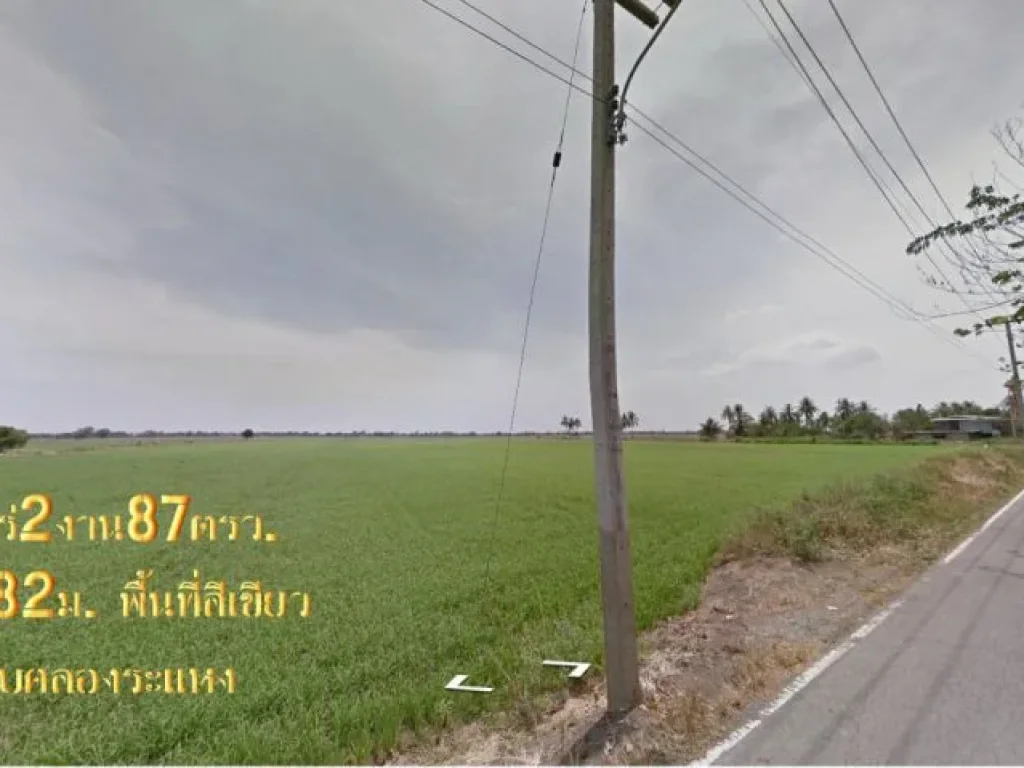 ขายที่ดิน59ไร่ หน้ากว้าง182ม พื้นที่สีเขียว ถนนเลียบคลองระแหง ตระแหง อลาดหลุมแก้ว จปทุมธานี