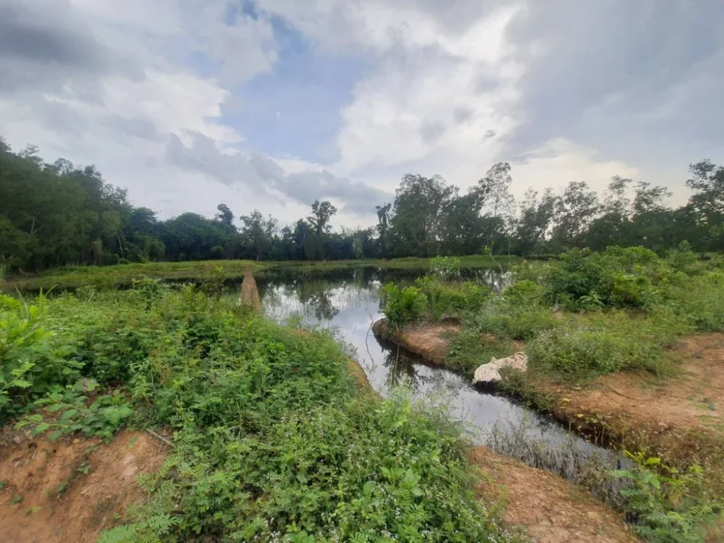 ขายที่ดิน 6 ไร่ ราคาไร่ละ 600000 บาท ใกล้แยกนาน้อย 3 - กม อพนมสารคาม จฉะเชิงเทรา