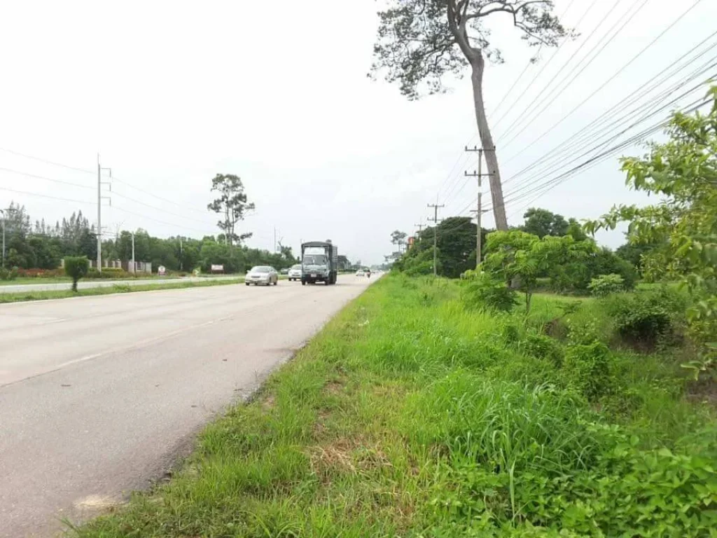 Land for sale on Mittraphap Road Udon Thani City ขายที่ดินติดถนนมิตรภาพ เมืองอุดรธานี หนองไผ่ อุดรธานี