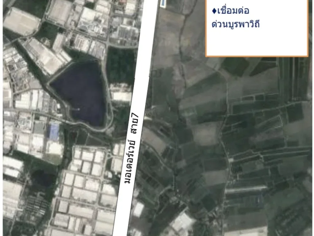 ขายที่ดินโซนEEC บางวัว อำเภอ บางปะกง จังหวัด ฉะเชิงเทรา