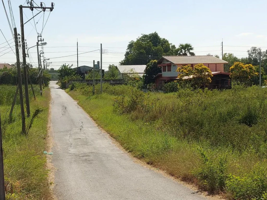 ขายที่ดิน ติดถนน 2 ด้าน 116 วา ถนนสุวินทวงค์ 41 กว้าง 15 ลึก 29 เมตร เข้าซอย 150 เมวตร แขวง ลำผักชี เขต หนองจอก กรุงเทพมหานคร