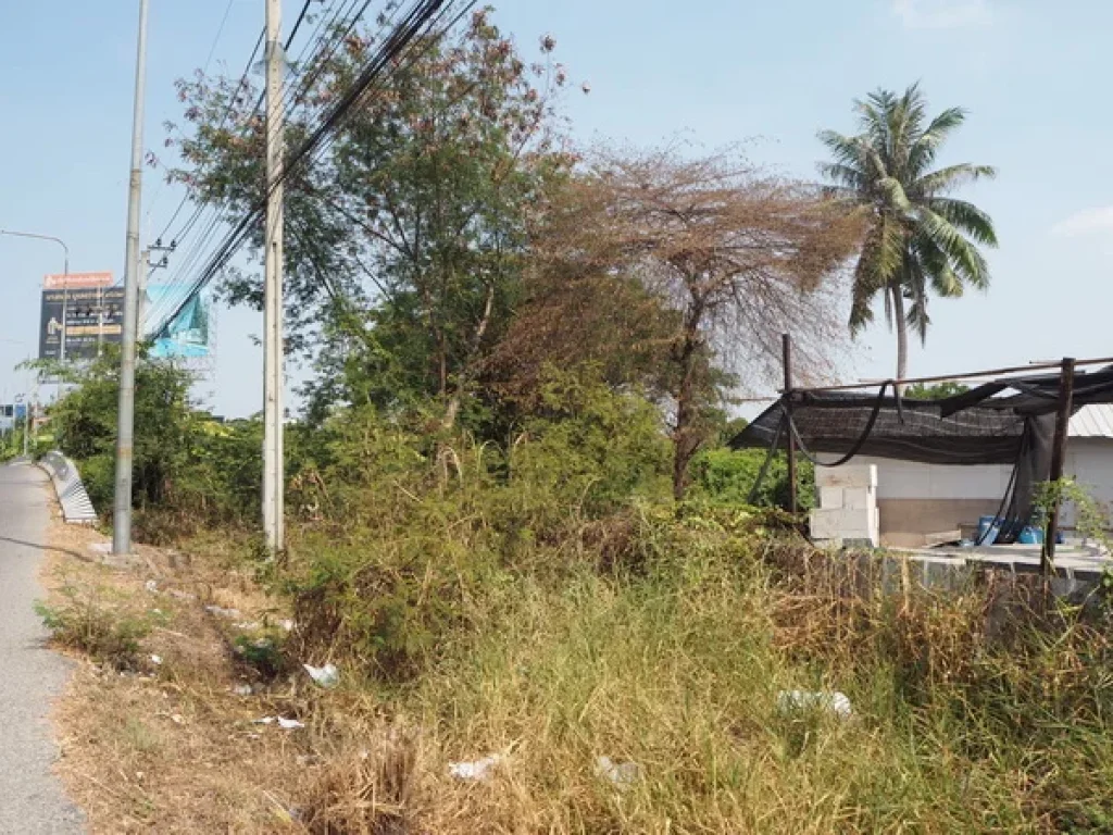 ที่ดิน ติด มนันทวัน แจ้งวัฒนะ-ราชพฤกษ์ ชัยพฤกษ์ ปากเกร็ด นนทบุรี