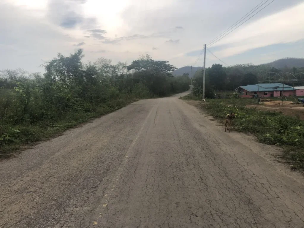 ที่ดิน 1 ไร่ ติดถนนลาดยาง วิวภูเขา