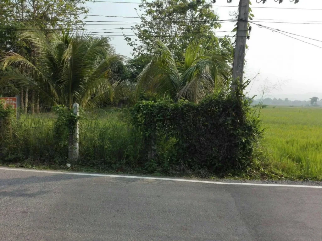 ขายที่ดินติดถนนซอย สันทรายมูล ค้าขายได้