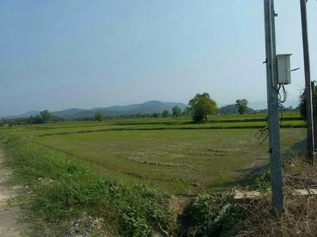 ขายที่ดินติดถนนซอย สันทรายมูล ค้าขายได้