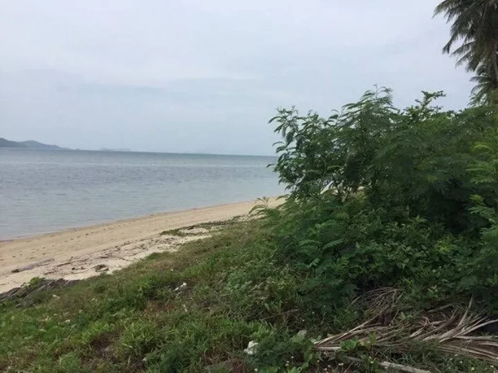 ขายที่ดินสวยหาดส่วนตัว ติดทะเล เกาะสมุย 5ไร่