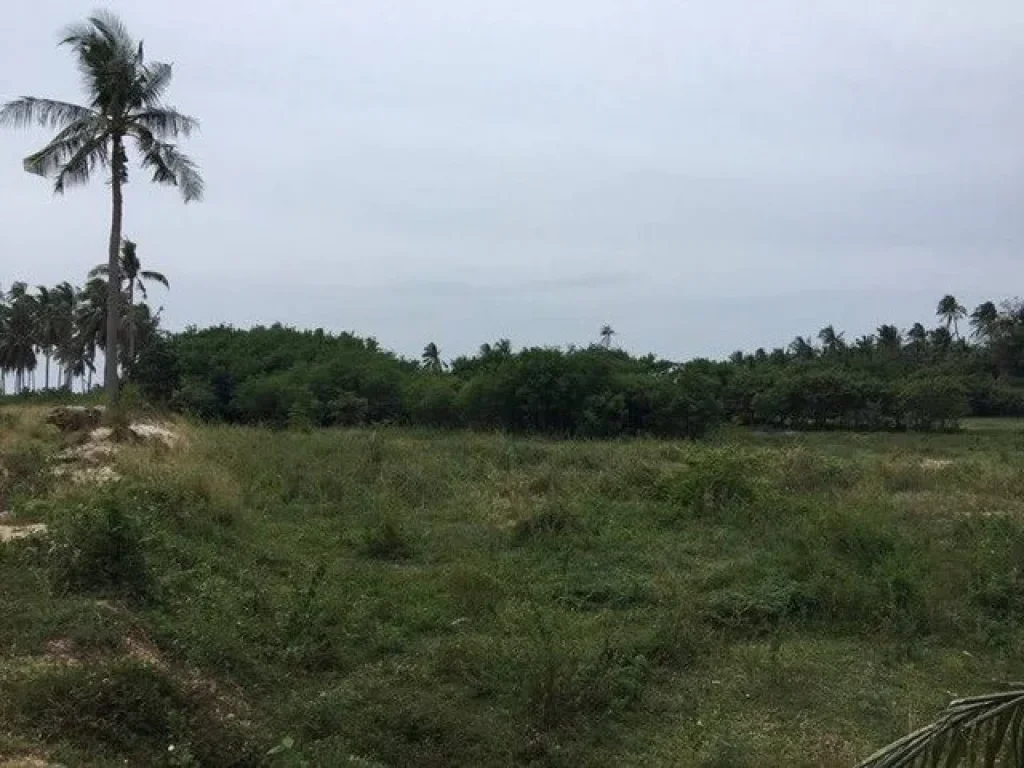 ขายที่ดินสวยหาดส่วนตัว ติดทะเล เกาะสมุย 5ไร่