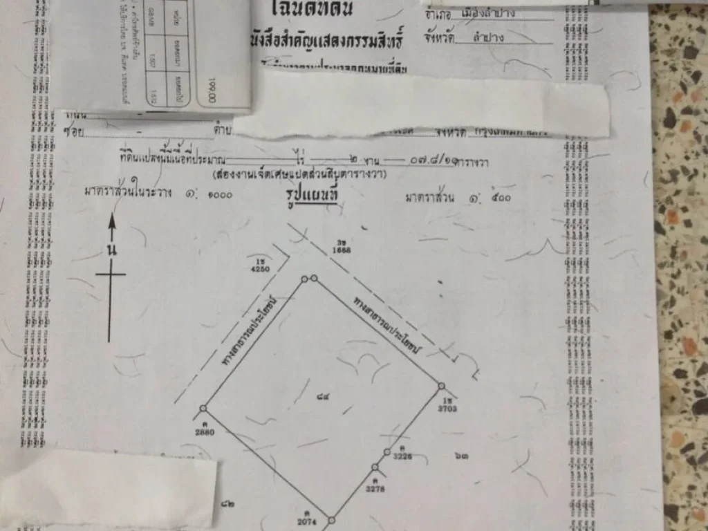 ขายที่ดิน 200 ตารางวาในตัวเมืองลำปาง