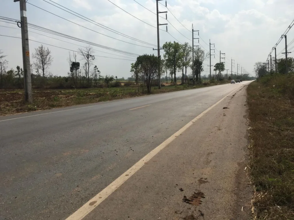 ขายที่ดินทำโครงการบ้านจัดสรรถูก ติดถนนสายหลัก หนองบัวลำภู-ศรีบุญเรือง -เนื้อที่ 48 ไร่ ขายยกแปล 350000 บาทไร่