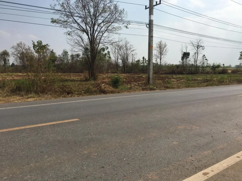 ขายที่ดินทำโครงการบ้านจัดสรรถูก ติดถนนสายหลัก หนองบัวลำภู-ศรีบุญเรือง -เนื้อที่ 48 ไร่ ขายยกแปล 350000 บาทไร่