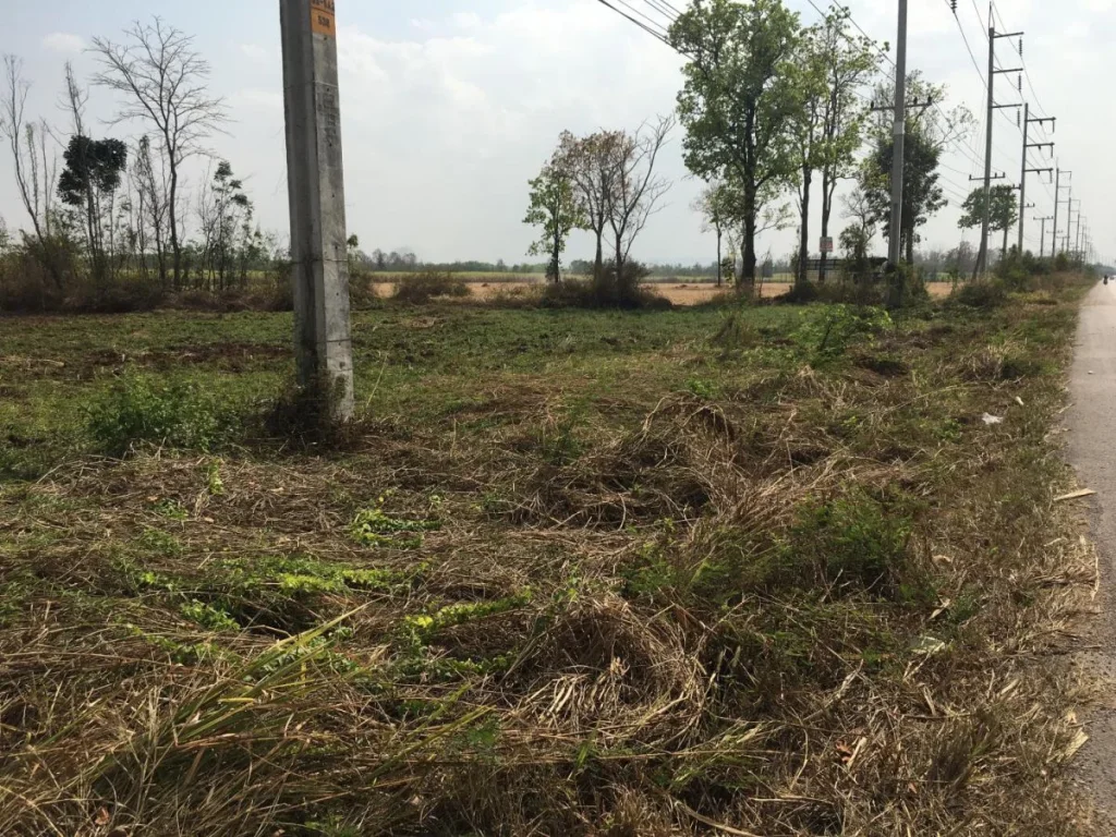 ขายที่ดินทำโครงการบ้านจัดสรรถูก ติดถนนสายหลัก หนองบัวลำภู-ศรีบุญเรือง -เนื้อที่ 48 ไร่ ขายยกแปล 350000 บาทไร่