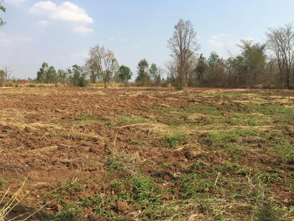 ขายที่ดินทำโครงการบ้านจัดสรรถูก ติดถนนสายหลัก หนองบัวลำภู-ศรีบุญเรือง -เนื้อที่ 48 ไร่ ขายยกแปล 350000 บาทไร่