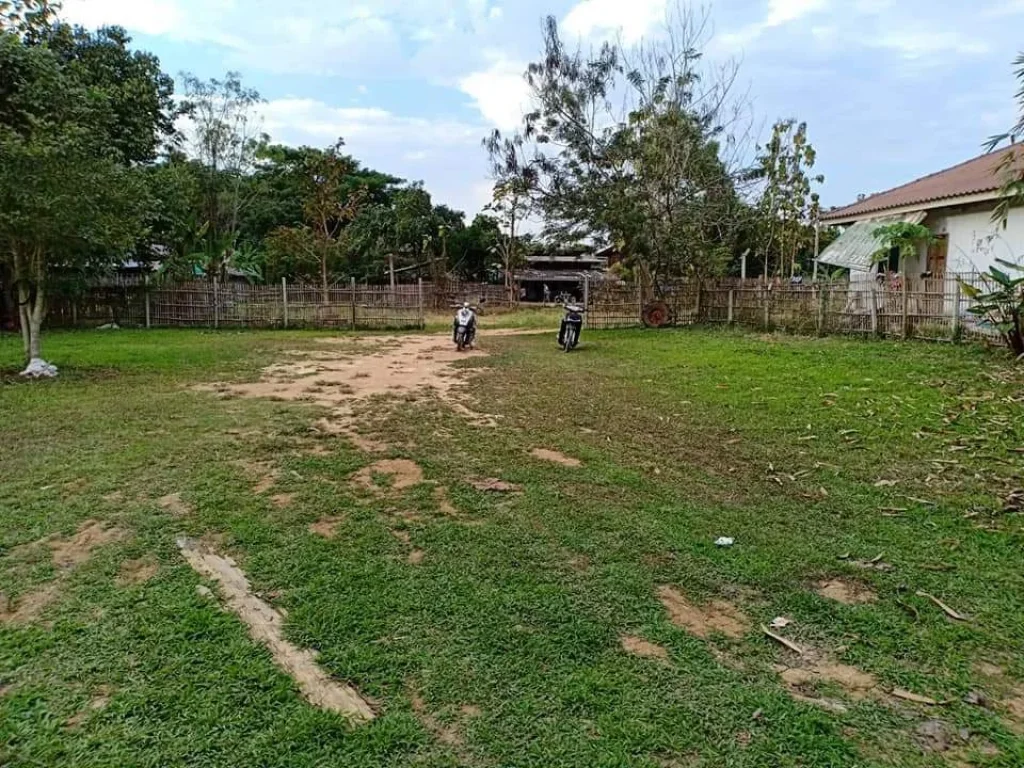 ขายที่ดินแม่ปูคา สร้างบ้านได้เลย