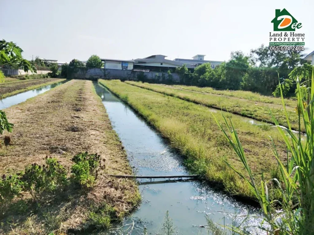 ขายที่ดินเปล่า 2 ไร่ 200 ตรว ใกล้ถนนพุทธมณฑลสาย5 ไร่ขิง สามพราน นครปฐม LA0133