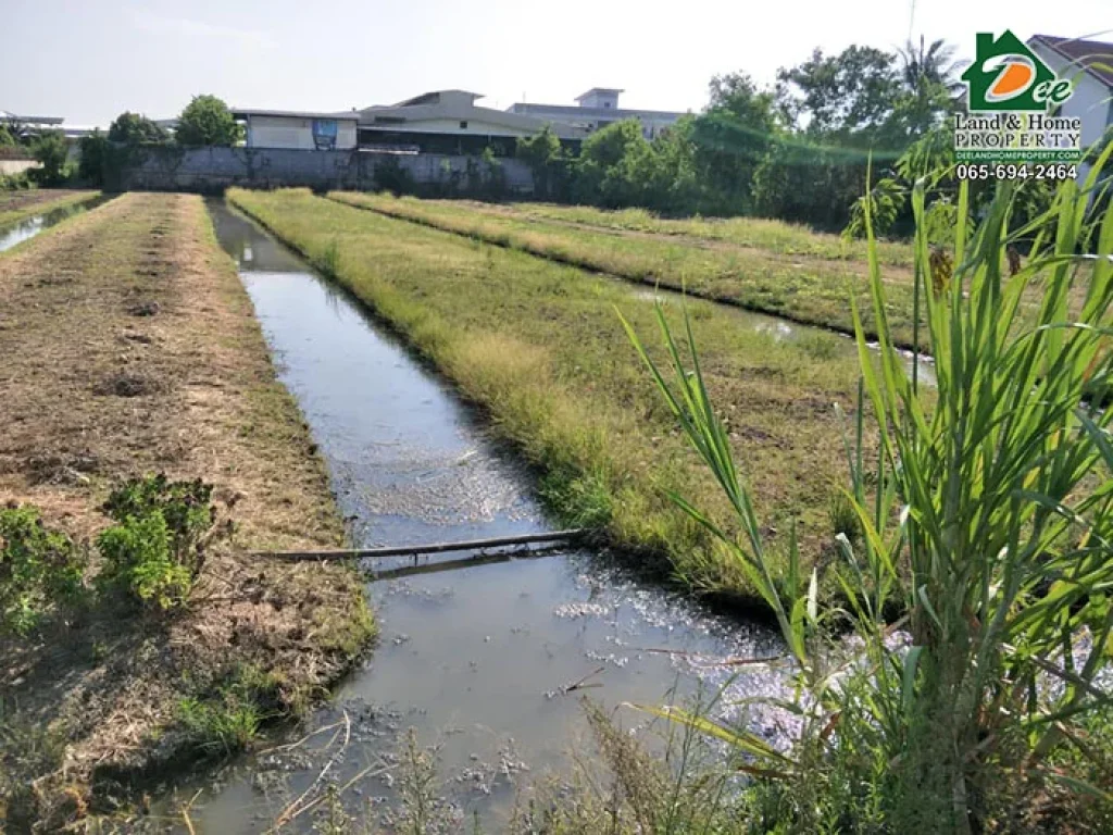 ขายที่ดินเปล่า 2 ไร่ 200 ตรว ใกล้ถนนพุทธมณฑลสาย5 ไร่ขิง สามพราน นครปฐม LA0133