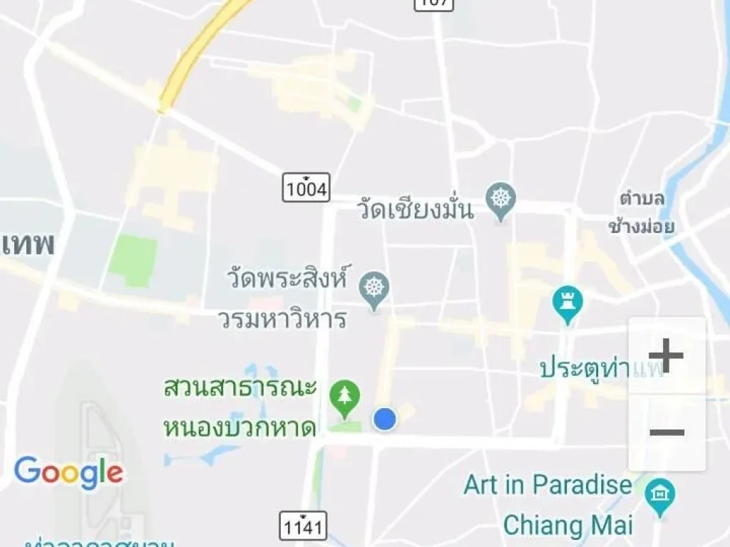 ขายที่ดินถนนช้างคลาน ราคาถูก