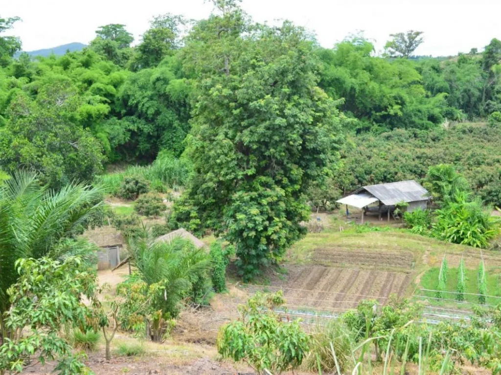 ขายที่ดิน 5ไร่ กว่า ที่ดินติดน้ำ อำเภอเชียงดาว จังหวัดเชียงใหม่