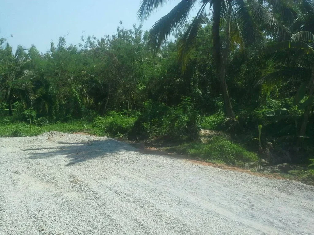 ขายที่ดินสามพราน ที่สวน 65 ไร่ บรรยากาศดี ทางเข้าวัดหอมเกร็ด ถนนพุทธมณฑลสาย7 เจ้าของขายเอง