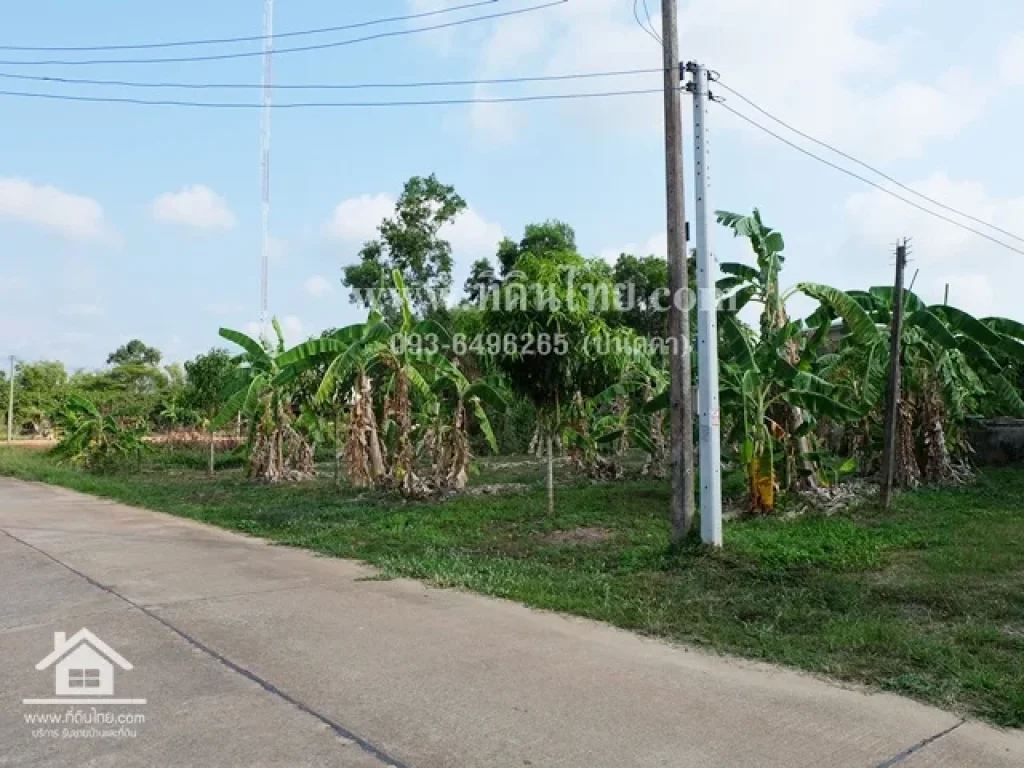 ที่ดินเสม็ดงาม โฉนด 200ตรว ตหนองบัว อเมือง จจันทบุรี รหัส L216