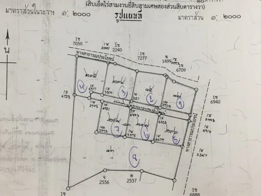 ที่ดินฉโนดสวย ราคาถูก 11ไร่ 3งาน 2320ตรว ใกล้ทะเลเขากะโหลกเพียง5 นาที สามร้อยยอด ประจวบคีรีขันธ์