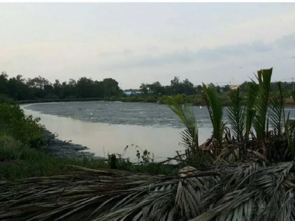 ขายที่ดินเปล่า 44 ไร่กว่า ติดถนนหลวงสมุทรปราการ3040 พระสมุทรเจดีย์