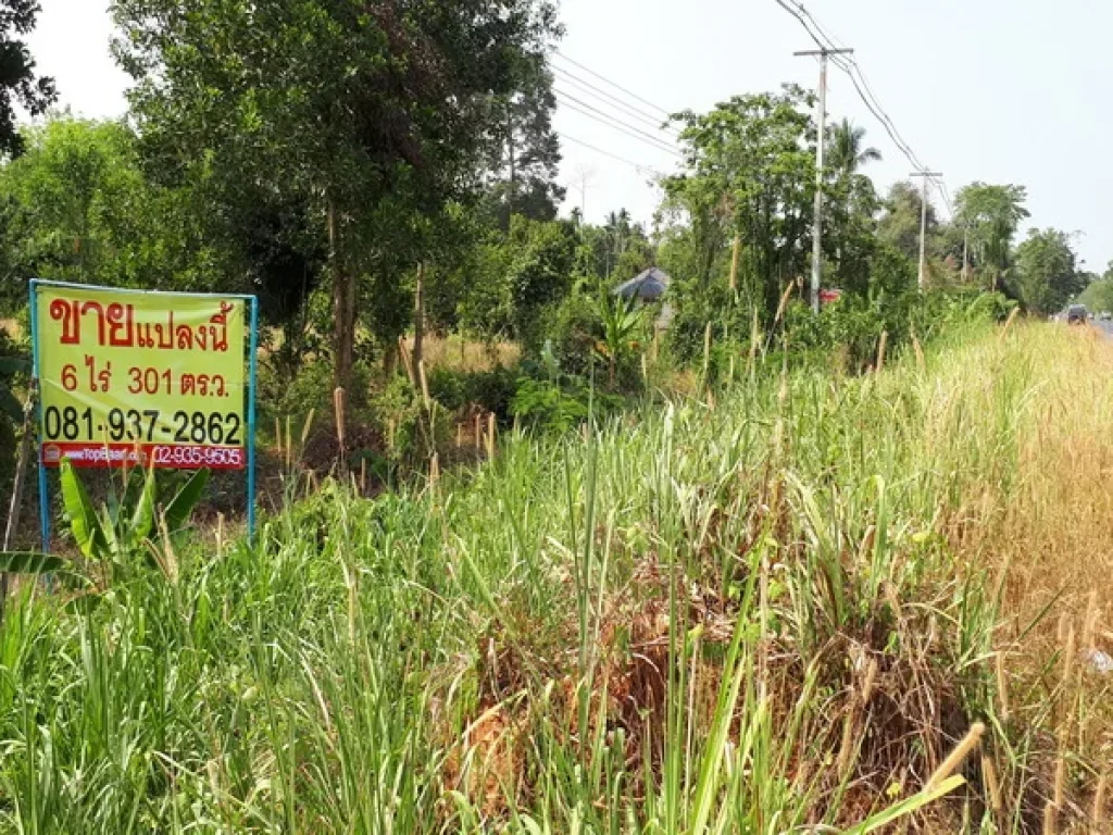 ที่ดิน ใกล้ทางหลวงสายกระบี่-กาญจนดิษฐ์ ถนนทางหลวง 401 กาญจนดิษฐ์ สุราษฎร์ธานี