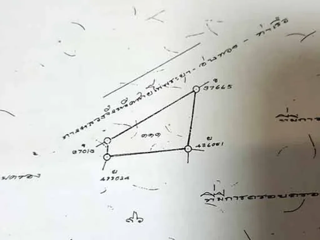 ขายที่ดินติดถนนใหญ่ โพธิ์พระยา  อ่างทอง 2