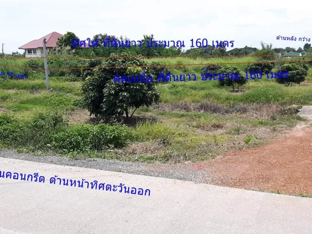 ขายที่ดินสารภี ติดถนน หน้ากว้าง 140 เมตร