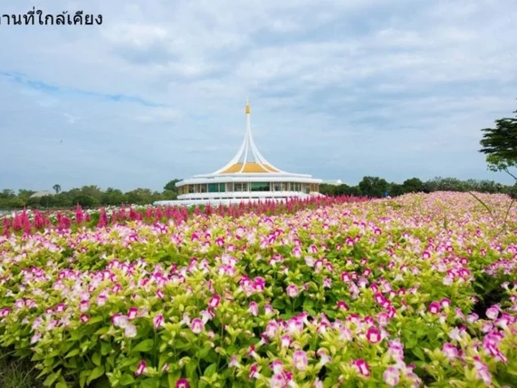 ขายที่ดินซวัดตะกล่ำเฉลิมพระเกียรติ22 94 ตรวทำเลดีใกล้สวนหลวงร9ใกล้แหล่งสาธารณูปโภคและBTSอุดมสุข