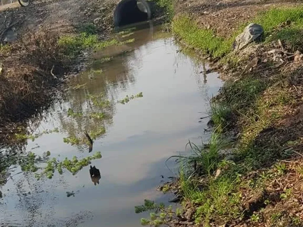 ขายที่นาหน้าติดถนนหลัก หลังติดเขา สันทราย