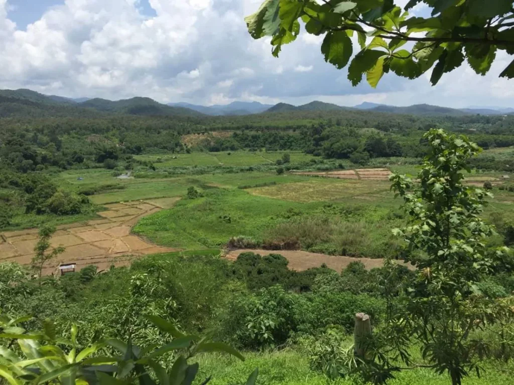 ขายที่ดินเชียงดาว ติดลำธาร ราคาถูก