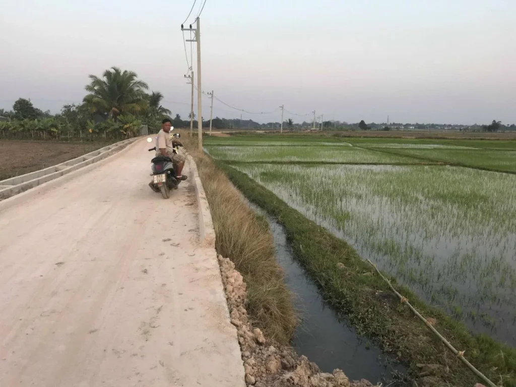 ที่ดินสันผีเสื้อ3 ที่ดินสวย จัดสรรได้ บรรยากาศท้องทุ่งในเขตเมือง