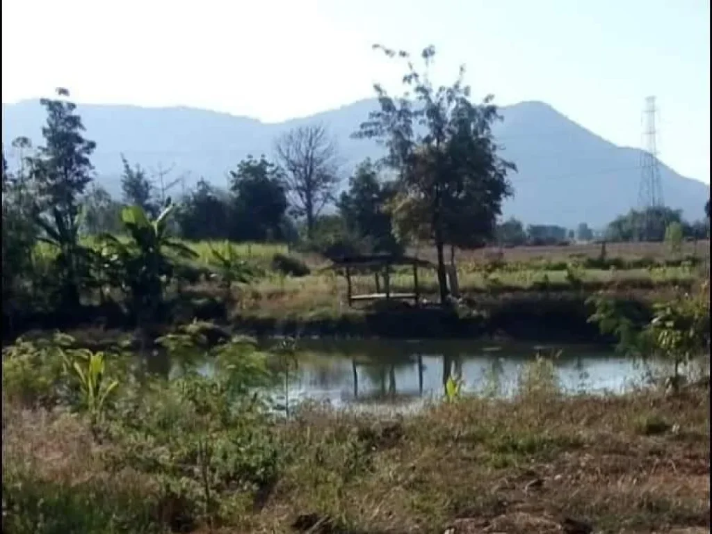 ที่ดินแปลงสวย วิวเขา ติดนา ใกล้ถนนสายหลัก อุตรดิตถ์