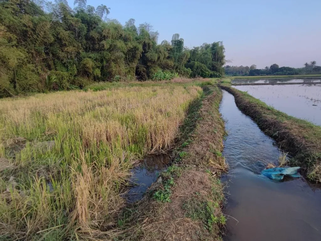 ขายที่ดิน อแม่ริม เชียงใหม่ ที่ 3ไร่ ครึ่ง มีโฉนด