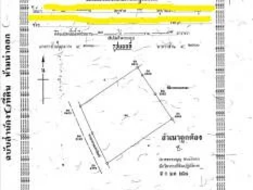 ขาย ที่ดิน ขายถูก ที่ดินเปล่า 10 ไร่ 14 ตรวา หน้ากร้วงติดถนนสาธารณะ 113เมตร