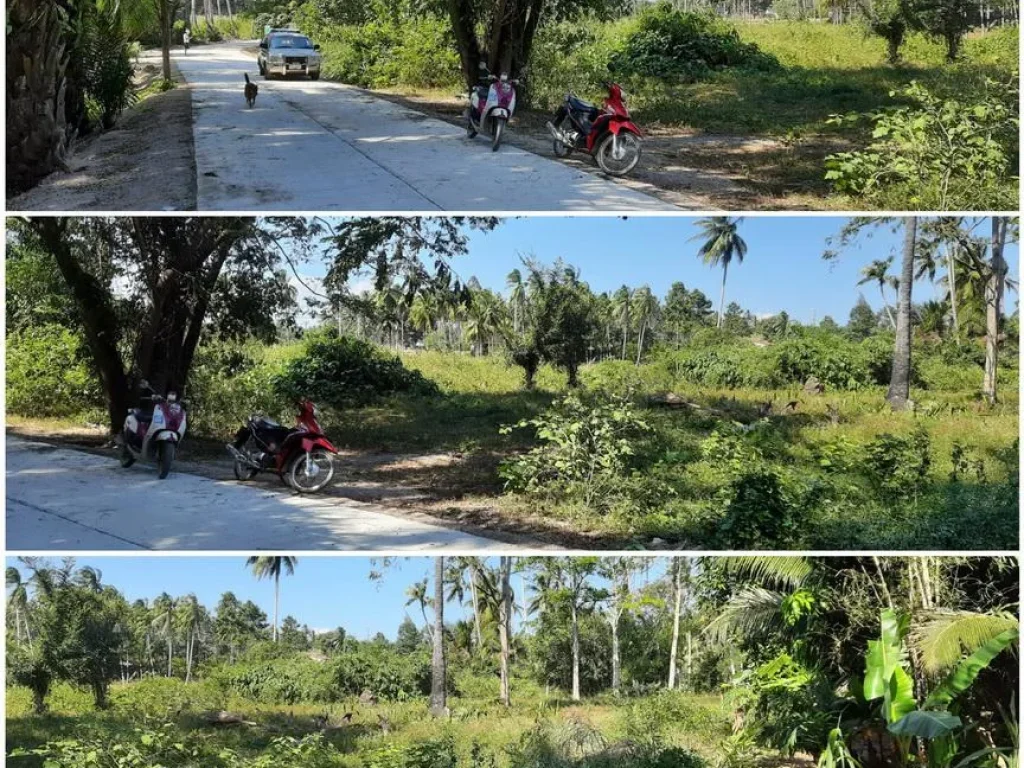 ที่ดินโฉนด1ไร่ ขาย125ล้าน ติดถนนคอนกรีต ไปชายหาดสวนหลวง 1 5 กิโล