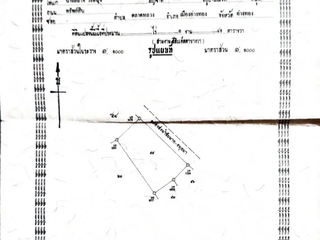 ขายที่ดิน ติดถนนใหญ่ หน้าวัดกำแพง ตำบลหลักฟ้า อำเภอไชโย จังหวัดอ่างทอง