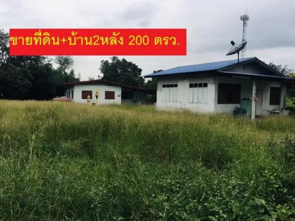 ขายที่ดินพร้อมบ้านชั้นเดียว 2 หลัง อเมือง จสระบุรี 200 ตรว