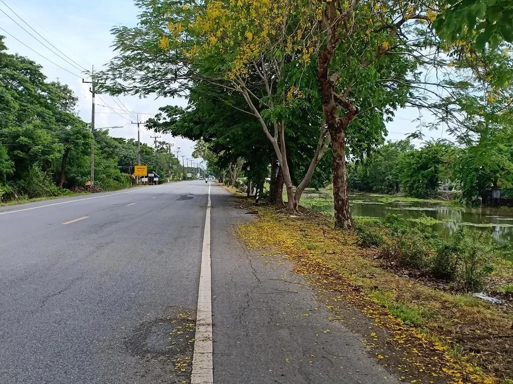 ขายที่ดิน 170 ไร่ ติดถนนเลียบคลองสิบฝั่งตะวันออก อหนองเสือ จปทุมธานี