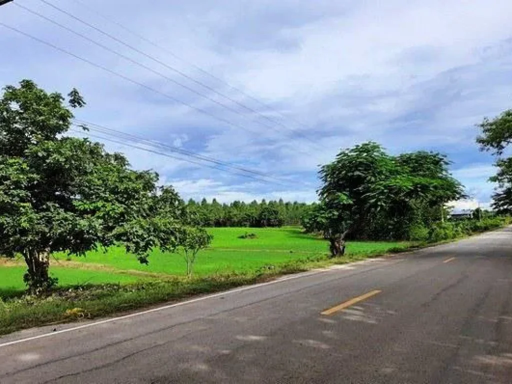 ที่ดินโฉนด8ไร่ๆละ190000ติดถนนลาดยาง มีเพื่อนบ้านไฟฟ้าประปาพร้อม ตบ้านโคก อเมือง จเพชรบูรณ์