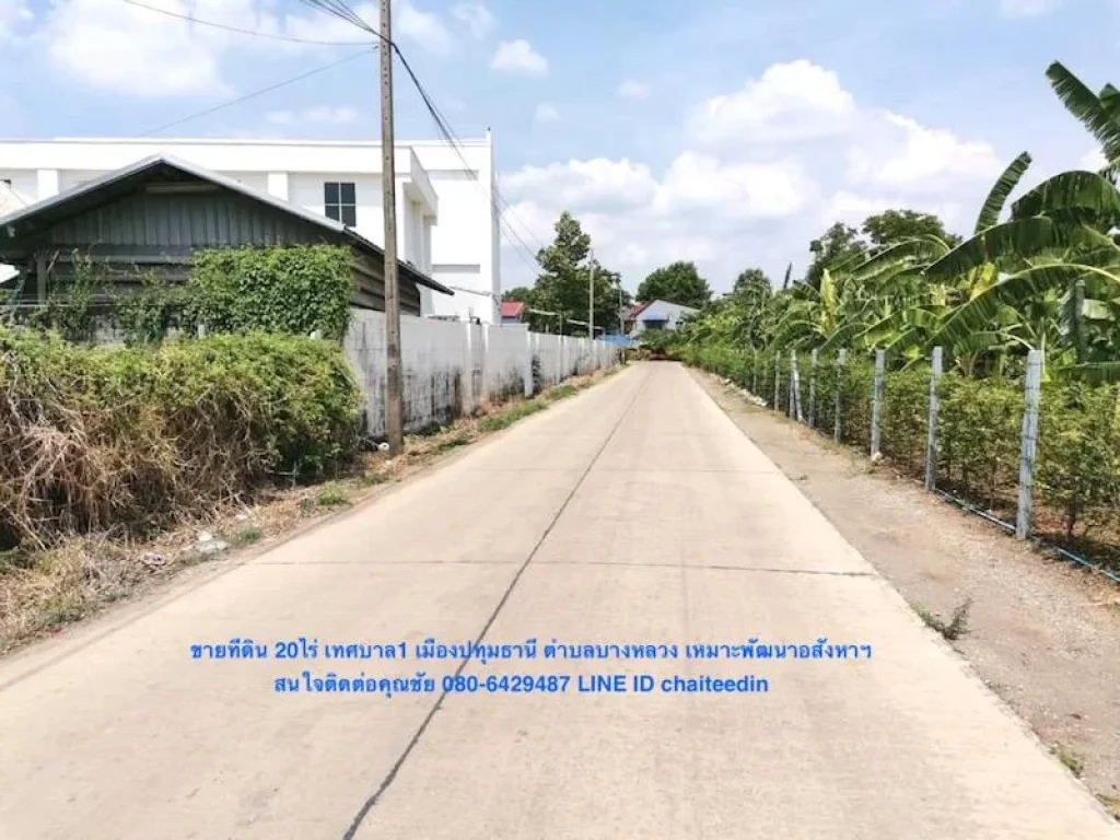 ขายที่ดินในเมืองปทุมธานี เนื้อที่ 20ไร่ เทศบาล 1 บางหลวง เมืองปทุมธานี