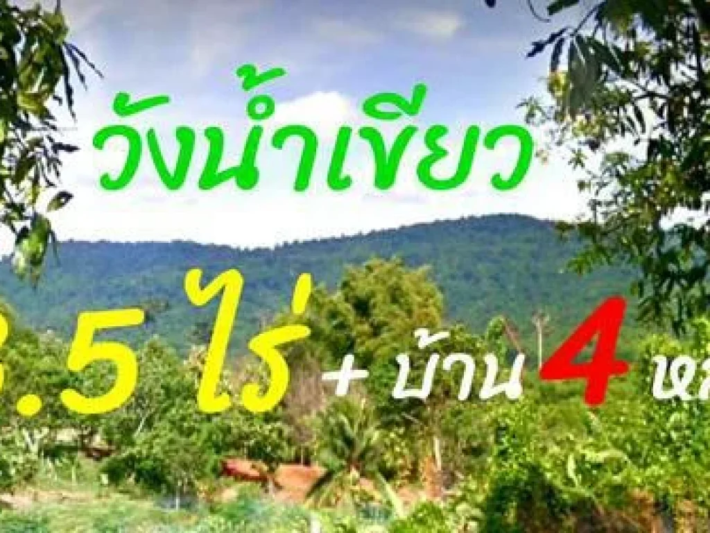 ขายที่ดิน 35 ไร่พร้อมบ้านสวน 4 หลัง วังน้ำเขียว ริมอ่างห้วยขมิ้น