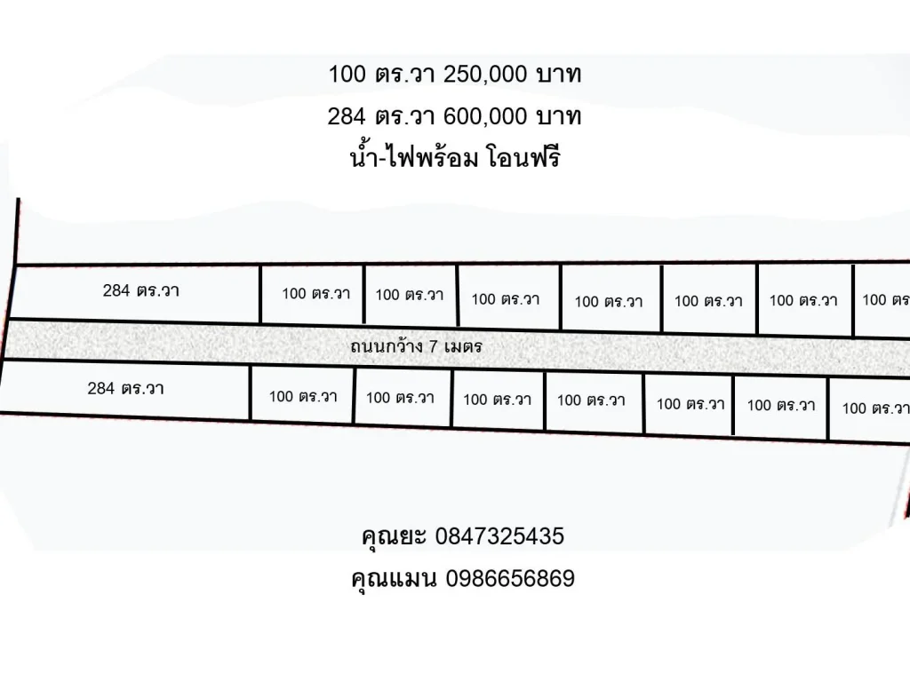 ขายที่ดิน 100 ตรวา 250000-