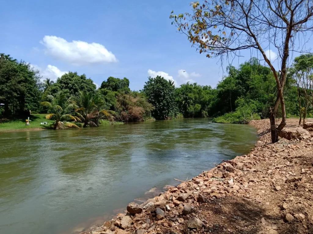 ขายที่ดินบนเกาะกลางแม่น้ำเพชรบุรี 25ไร่ 3งาน 53 ตรว ดื่มด่ำไปกับธรรมชาติ