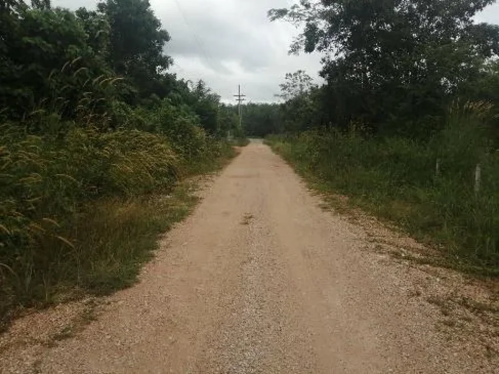 ที่ดินจัดสรร สำหรับบ้านพักอาศัย