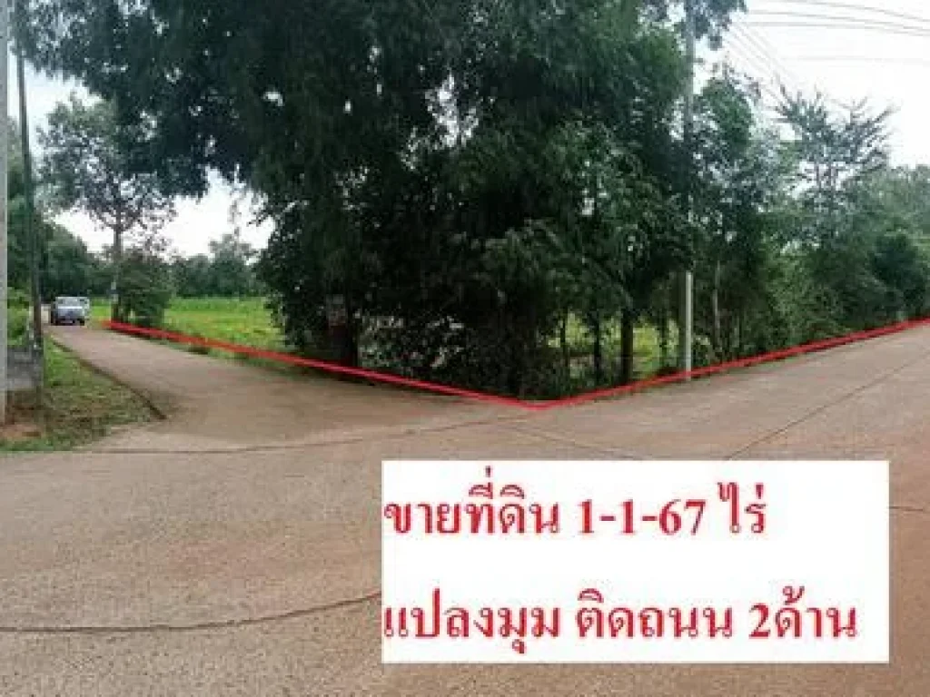 ขายที่ดิน 1-1-67 ไร่ ซพิชิตดาว อปะคำ จบุรีรัมย์