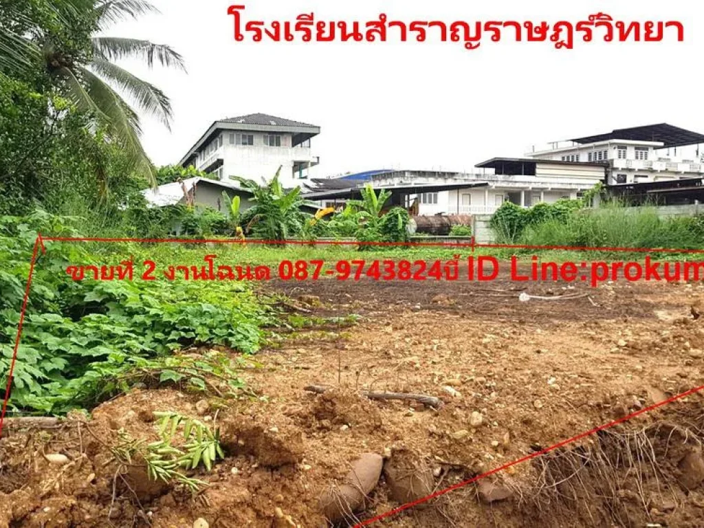 ขายที่ดิน 2งาน 6 ตรว ขายด่วนร้อนเงินครับ