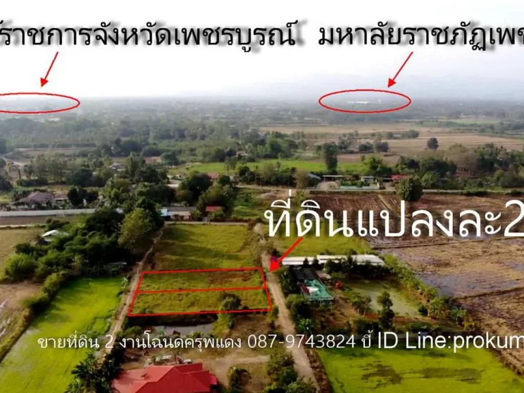 ขายที่ดิน 2งานโฉนดครุฑแดง ตสะเดียง อเมืองเพชรบูรณ์